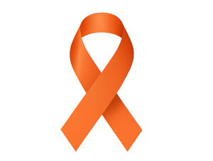 Stichting Flinders of Hope